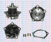 AQUAPLUS 85-4760 Water Pump